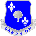 359th Infantry Regiment "Carry On"