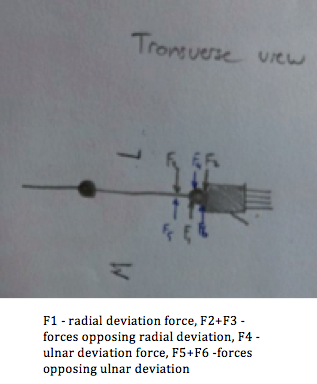 File:3 force Transverse.tiff