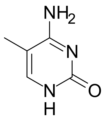 File:5-Methylcytosine skeletal.svg