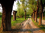 Miniatura Kazimierski Park Krajobrazowy