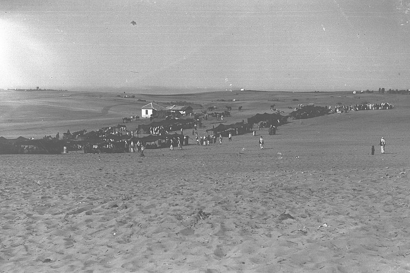 File:AN ARAB FARMHOUSE WITH BEDOUIN TENTS IN FRONT PREPARED FOR GUESTS ATTENDING AN ARAB FARMER'S WEDDING. מאהל בדואי בדרום ליד באר שבע..jpg