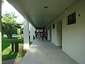 A PJPII hallway on a dress down day and students going to a pep rally in the gymnasium.