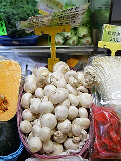 Edible mushroom Fleshy and edible fruit bodies of several species of macrofungi