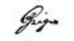 Авраам Гейгер - signature.png