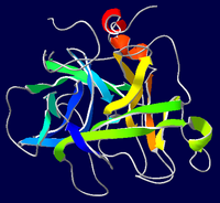 Imagen ilustrativa del artículo Acrosine