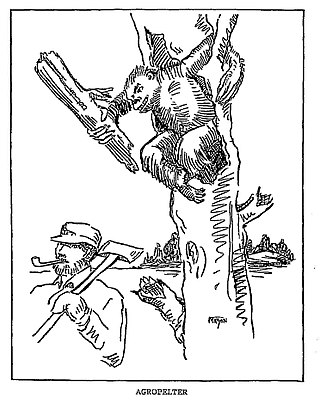 <span class="mw-page-title-main">Agropelter</span> Mythical creature from American folklore