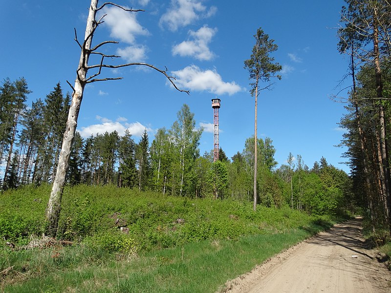 File:Agurkiškė, miško bokštas.JPG