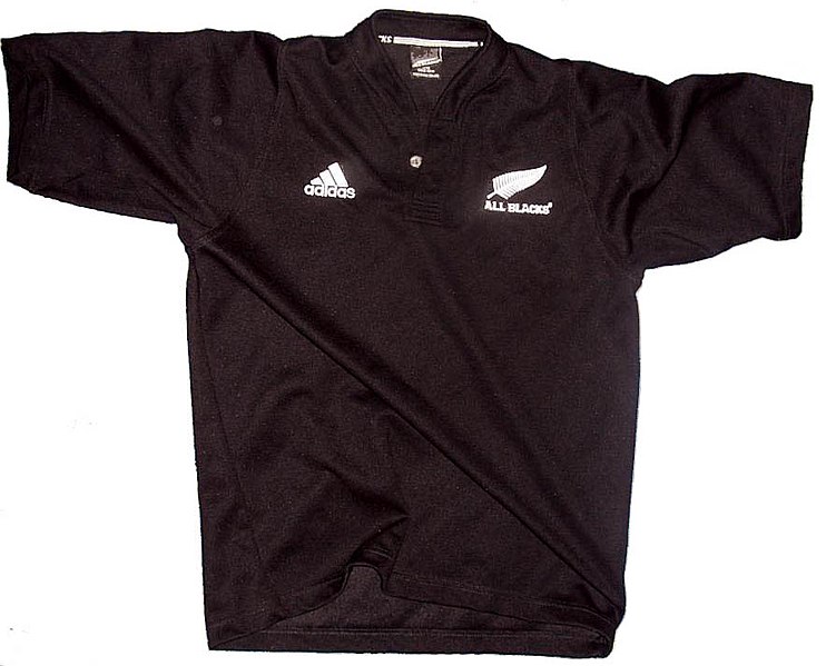 File:All blacks jersey whitebackg.jpg