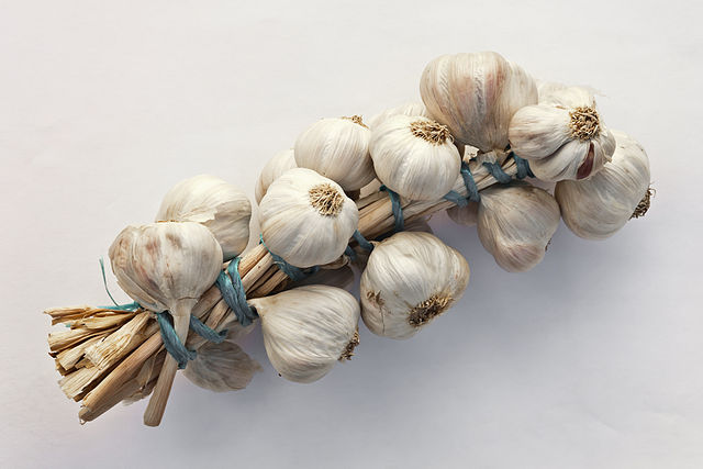 Aulx (French for Garlic)