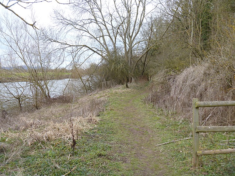 File:Along the bank - geograph.org.uk - 2914241.jpg