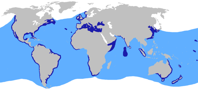 Distribución confirmada (azul escuro) e sospeitada (azul claro) do raposo do mar