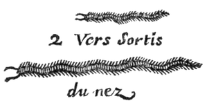 Andry - De la génération des vers (1741), p. 73-1.png