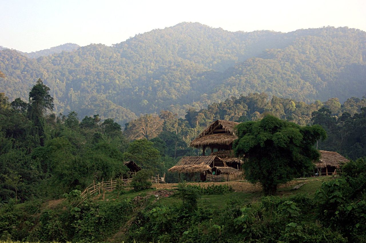 Cordillère annamitique (Laos, Cambodge et Viêt Nam) 1280px-Annamite_range_pu_mat_2007_05