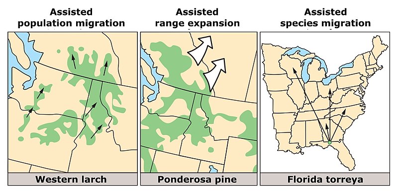 File:Assisted migration - 3 types with tree examples.jpg