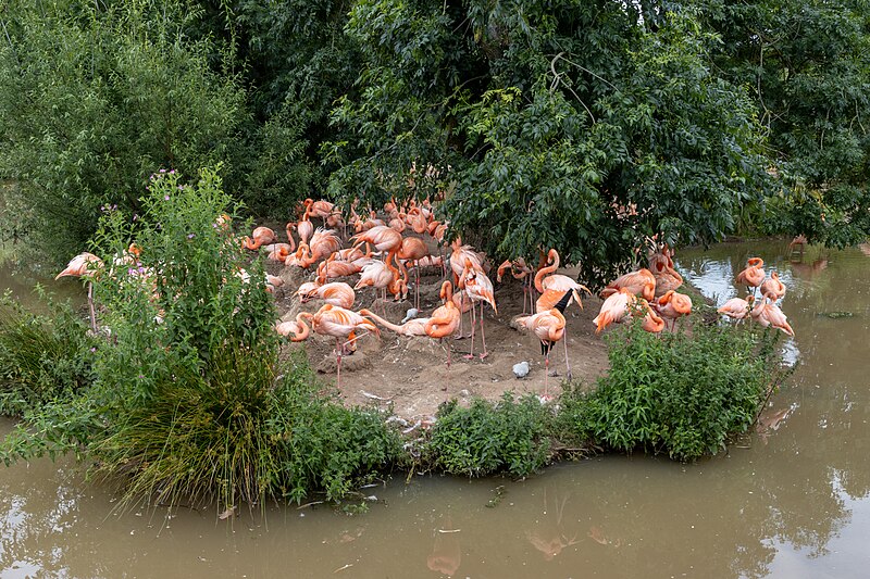 File:At Chester Zoo 2023 028.jpg