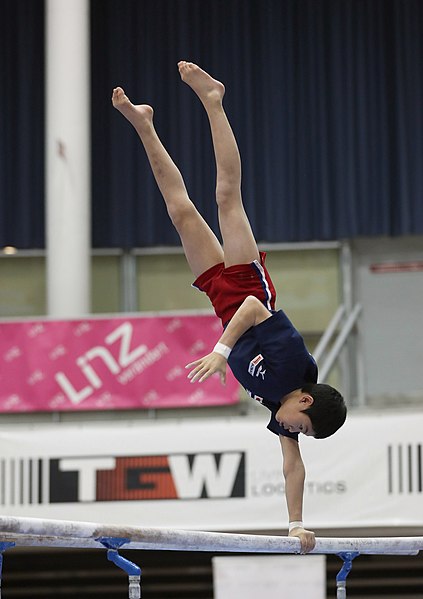 File:Austrian Future Cup 2018-11-23 Training Afternoon Parallel bars (Martin Rulsch) 0071.jpg