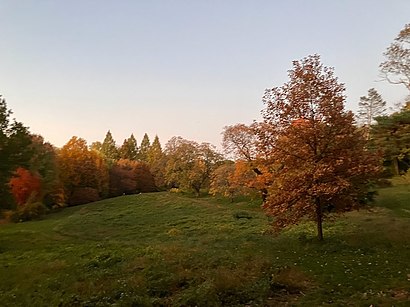 Cómo llegar a Awbury Arboretum en transporte público - Sobre el lugar