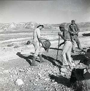 מחנה עבודה של מע"צ בביר מליחה ליד בית קמה, 1950
