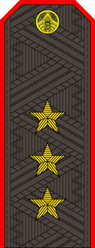 Belarus Police—01 Colonel General rank insignia (Gunmetal).png