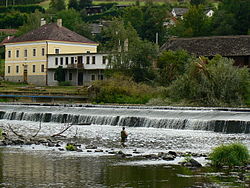 Zvíkovec ê kéng-sek