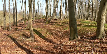 Bierberg Kuppe Burgplateau