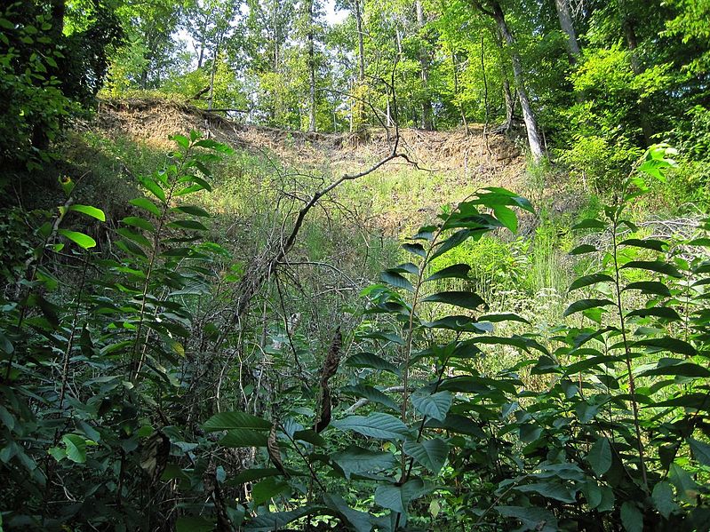 File:Big Ben Trail Village Creek State Park Wynne AR 2013-09-09 017.jpg