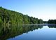 Pond mirroring green trees