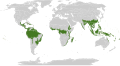 regiones de bosques húmedos