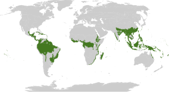 Resmin açıklaması Biome_map_01.svg.