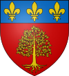 Stema Castelnau-de-Brassac