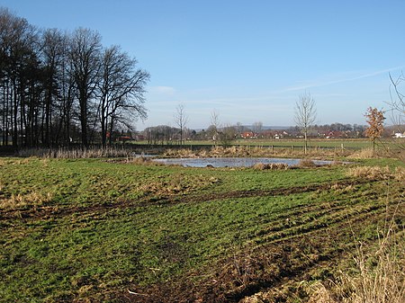 Borgholzhausen Salzenteichs Heide