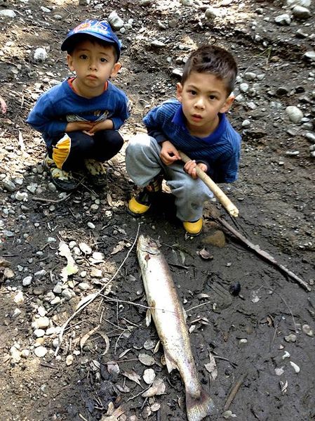 File:Boys with dead Steelhead.jpg