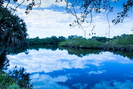 Braden River 1 (32630681915)