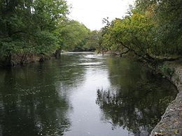 Foto des breiten von Bäumen gesäumten Brandywine Creek