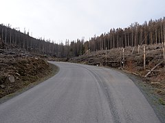 Brockenstraße in April 2019 20.jpg 78885945 6 571 20190601074155