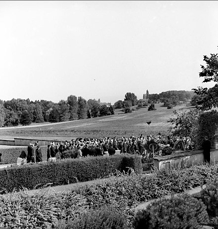 Mann's funeral, 1955