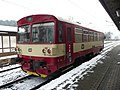 train in Krippen (Zug auf der Elbtalbahn in Krippen)