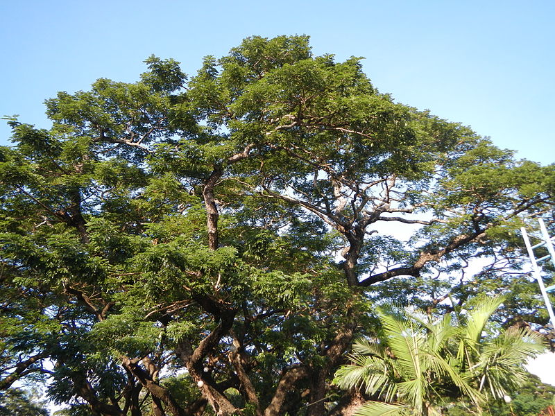 File:CalataganHall,Plaza,Batangasjf0546 19.JPG