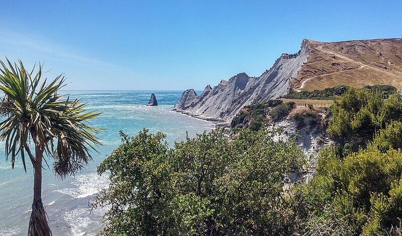 File:Cape Kidnappers, New Zealand.jpg