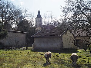 Habiter à Castagnède