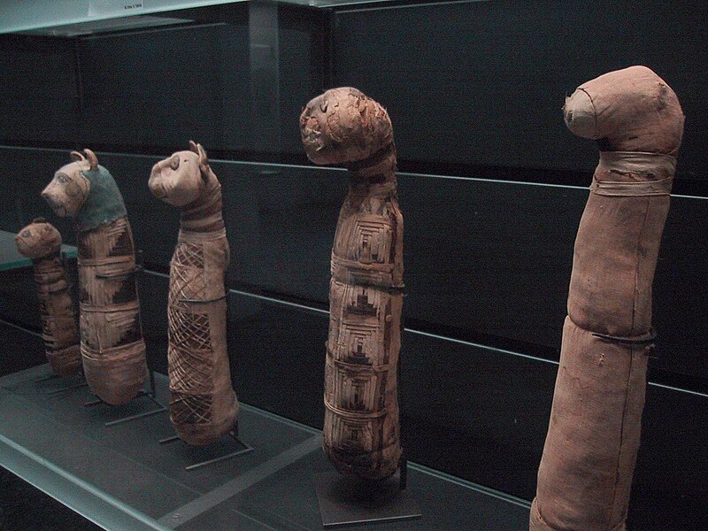 File:Cat mummies at the Louvre museum.jpg