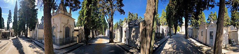 File:Cemitério dos Prazeres • Cemetery Prazeres (50662794547).jpg