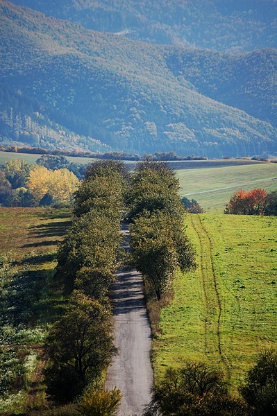 File:Cesta za Žilinou - panoramio.jpg