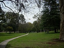 View of the trees Chavez-ravine-arboretum-view.jpg