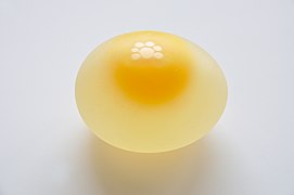 File:Chicken Egg without Eggshell 5859.jpg (2014-01-07)