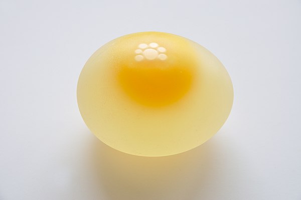 Chicken Egg without Eggshell 5859.jpg