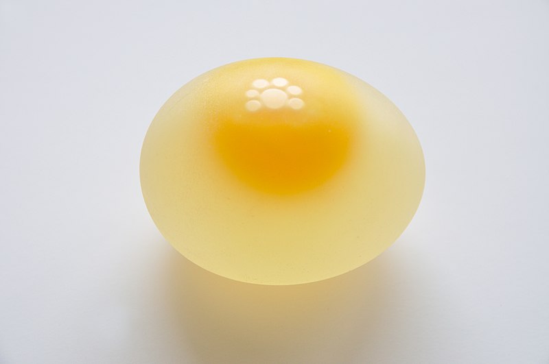 A chicken egg with no shell, only a translucent membrane holding it together.