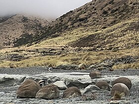 Collection of boulders at Ward Beach.jpg