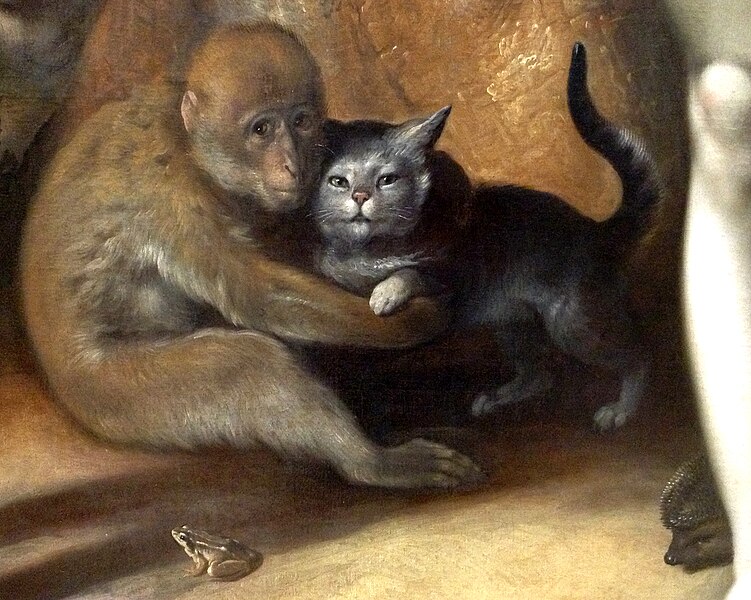 File:Cornelis Cornelisz. van Haarlem - The Fall of Man - Monkey, Cat, Frog, Hedgehog (detail),.jpg