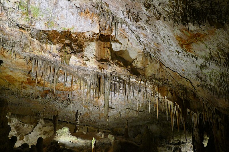 File:Covas del Drac - lit stalagmites and stalagtites 04.jpg